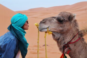 Top 7 Camel Ride Spots