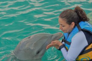 Swimming with dolphins