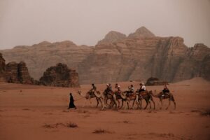 The Valley of the Moon camels